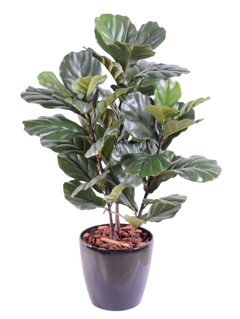 Ficus artificiel lyrata - 95,00 €
