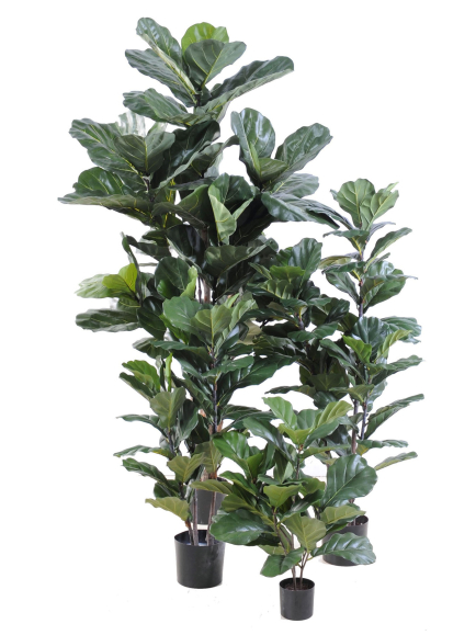 Ficus artificiel lyrata - 95,00 €