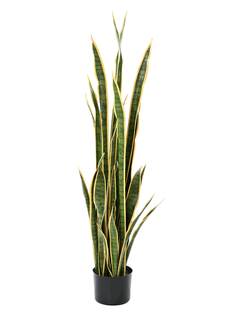 Sansevieria artificiel 155 cm - Déco Mundo