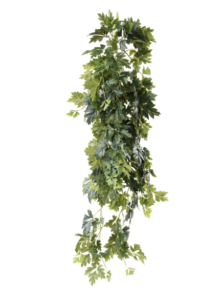 Chute de cissus artificiel