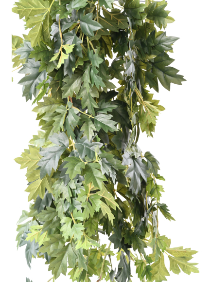 Chute de cissus artificiel