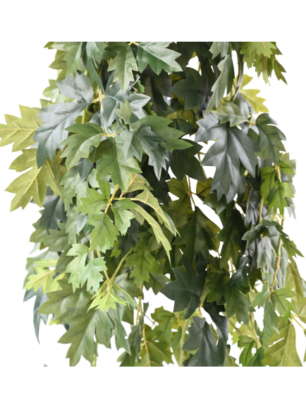 Chute de cissus artificiel