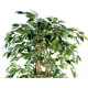 Ficus artificiel - tronc bois liane - 210 cm