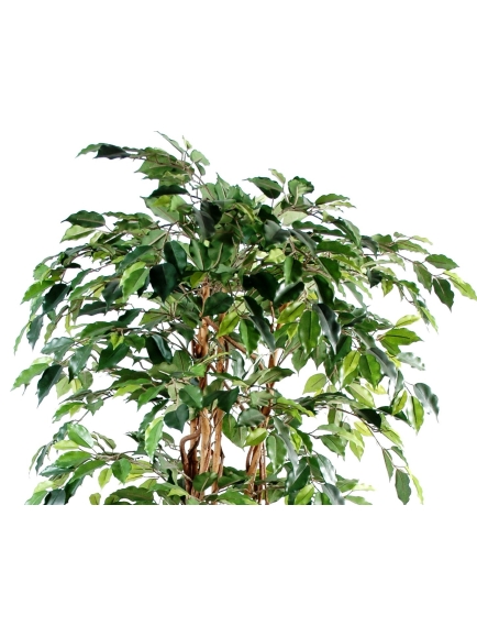 Ficus artificiel - tronc bois liane - 210 cm