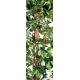 Ficus artificiel - tronc bois liane - 210 cm