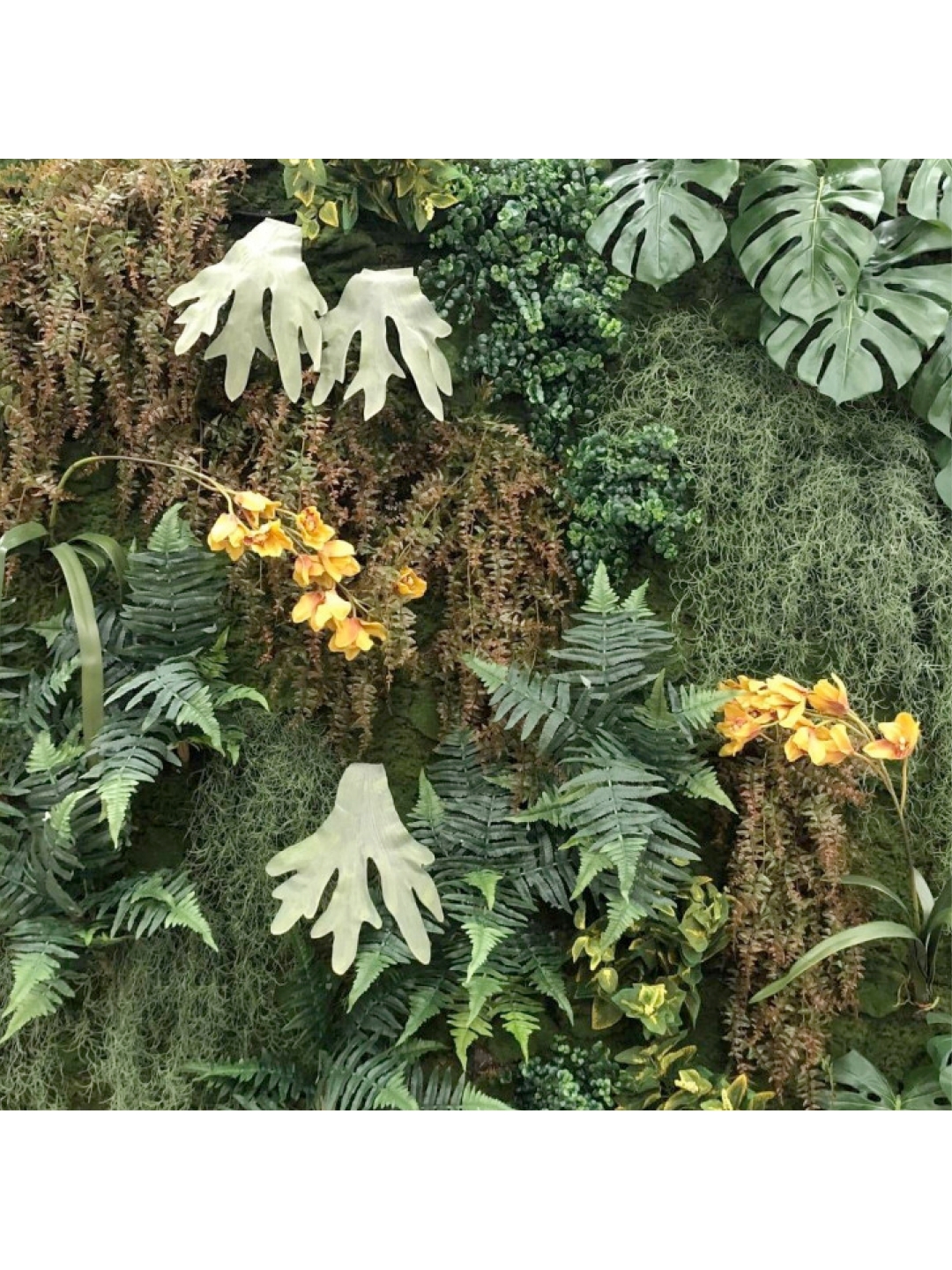 Végétaux Stabilisés Décoratifs : Décoration Vivante Zéro Entretien