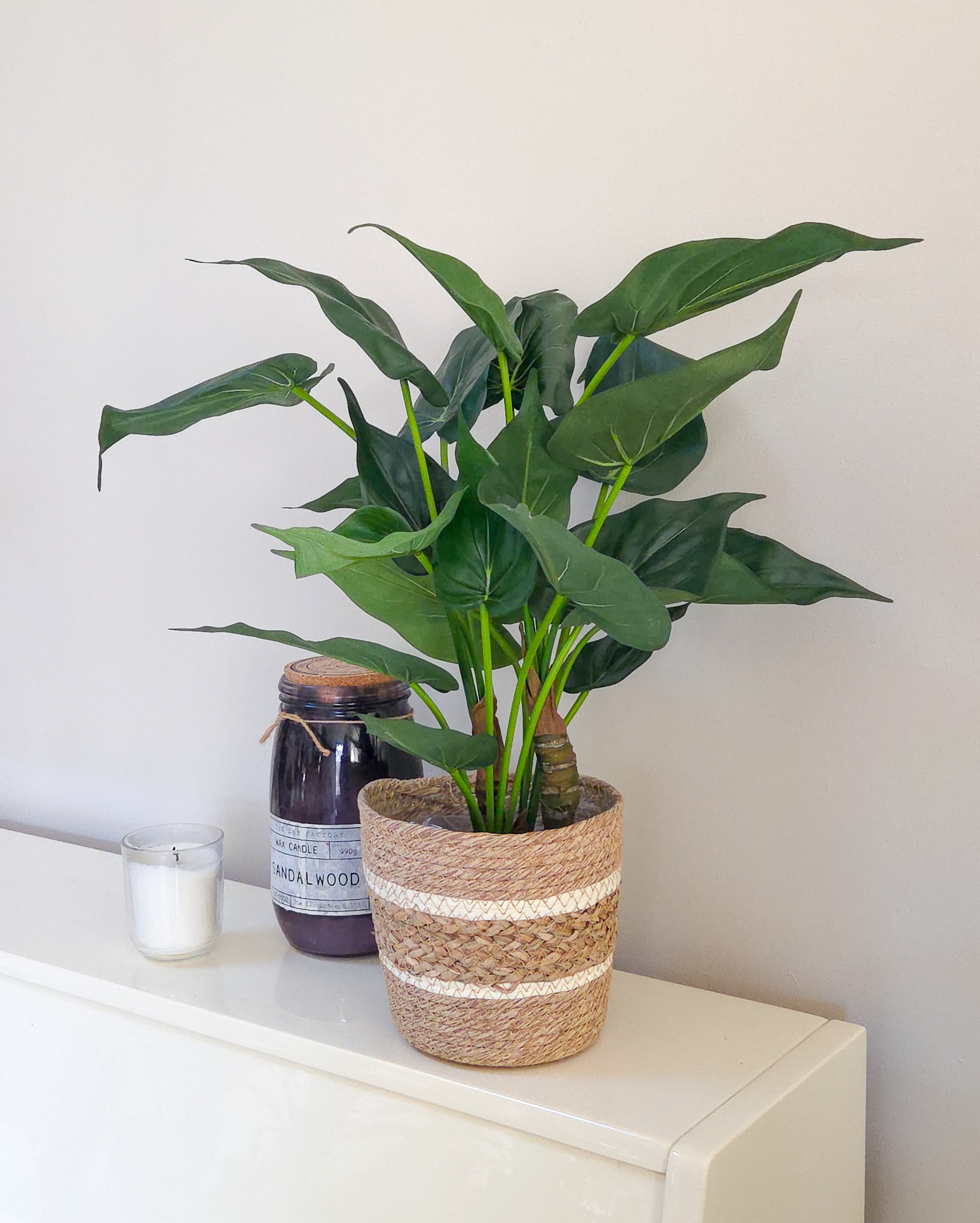 Plantes_artificielles