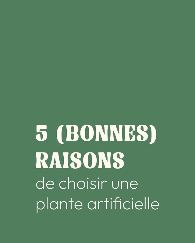 🌿 La plante artificielle a bien changé.

Fini...